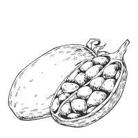 organikus baobab